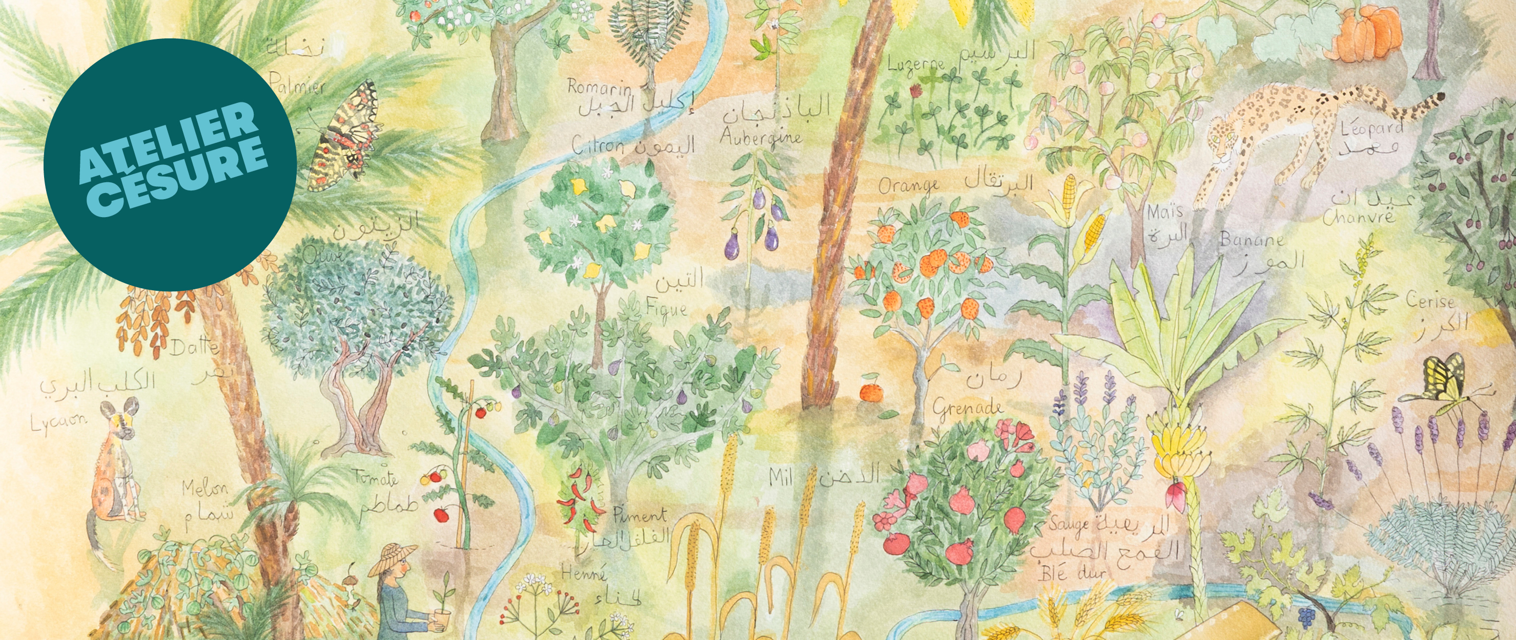 DESSINS ET BRODERIES MIRJANA